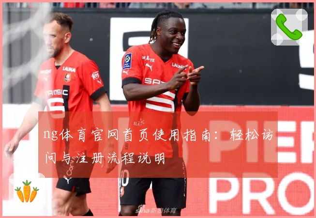 ng体育官网首页使用指南：轻松访问与注册流程说明