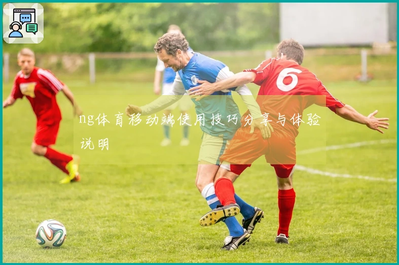 ng体育移动端使用技巧分享与体验说明
