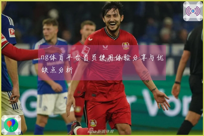 ng体育平台首页使用体验分享与优缺点分析
