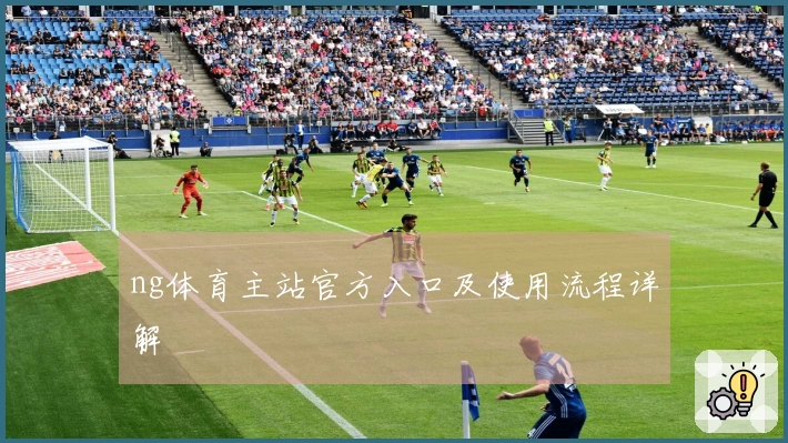 ng体育主站官方入口及使用流程详解