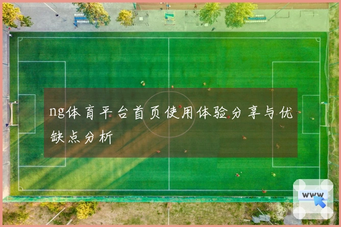 ng体育平台首页使用体验分享与优缺点分析