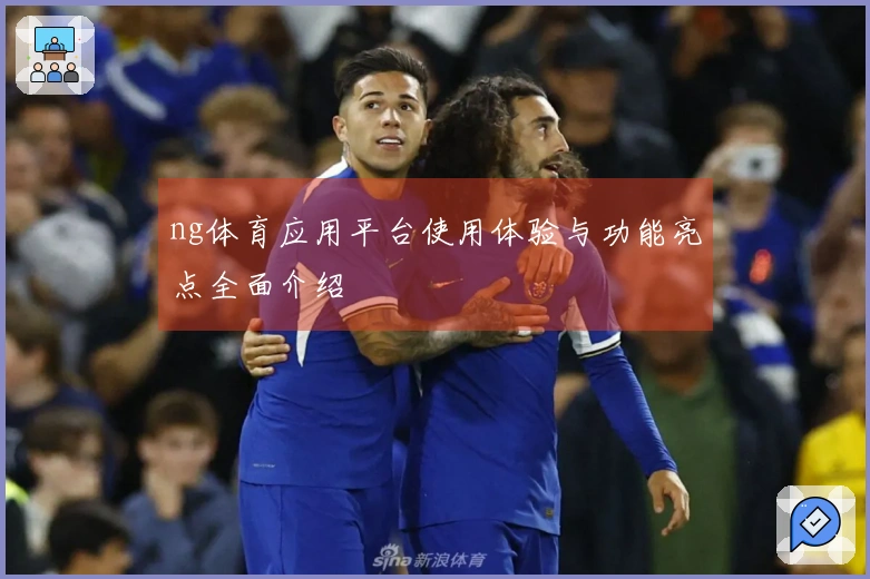 ng体育应用平台使用体验与功能亮点全面介绍