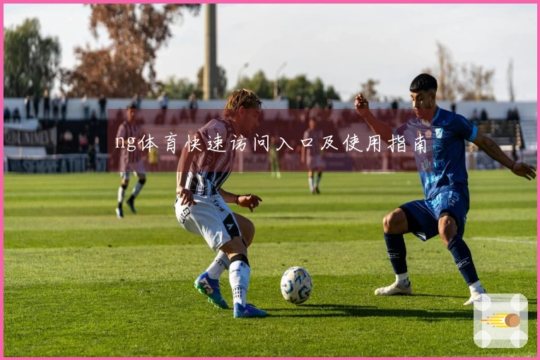 ng体育快速访问入口及使用指南