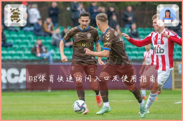 ng体育快速访问入口及使用指南